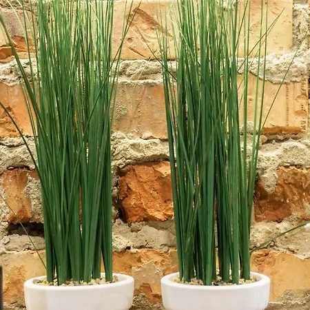 Retro Lejlighed Rzeszów