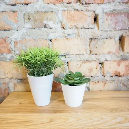 Retro شقة رشيشوف