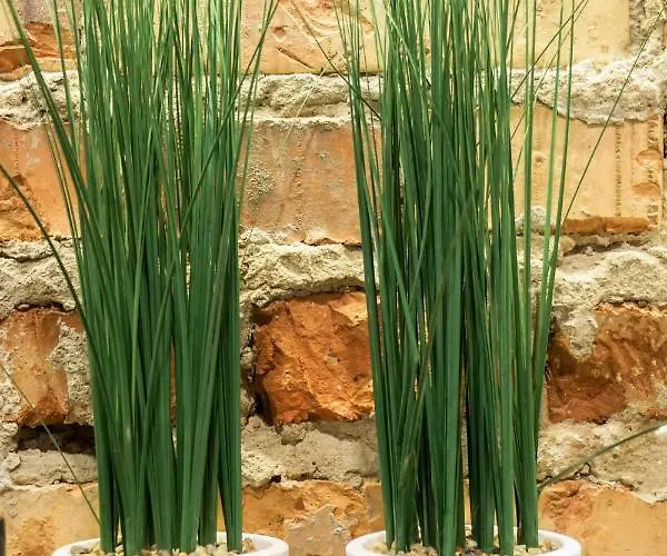 Retro Appartement Rzeszów