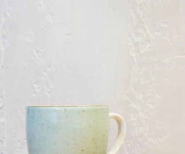 Appartement Retro Rzeszów