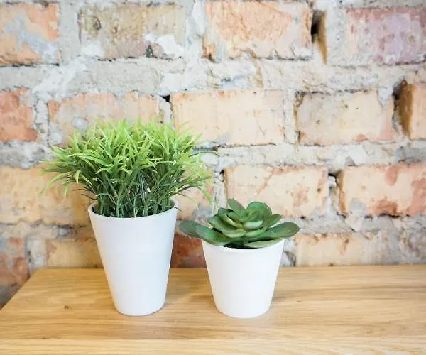 Retro Appartement Rzeszów